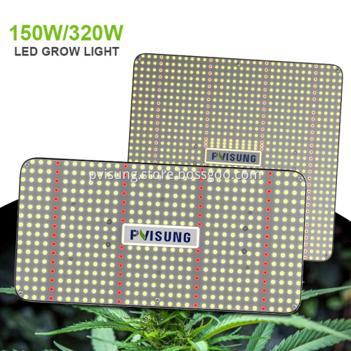 PVISUNG Quantum Board For Plant